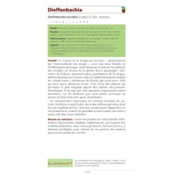 Guide des plantes toxiques et allergisantes