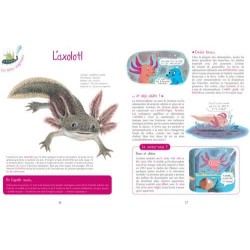 Les Bêtes biscornues, saugrenues, toutes nues