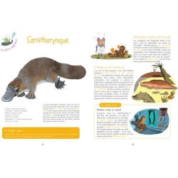 Les Bêtes biscornues, saugrenues, toutes nues