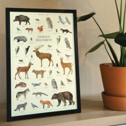 Affiche illustrée - Animaux des forêts