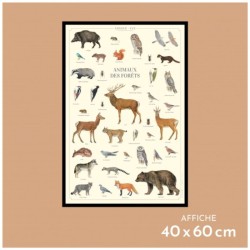 Affiche illustrée - Animaux des forêts