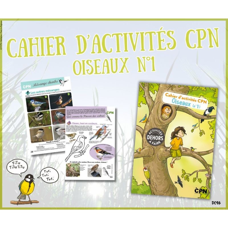 Cahier d’activités CPN - Oiseaux n°1