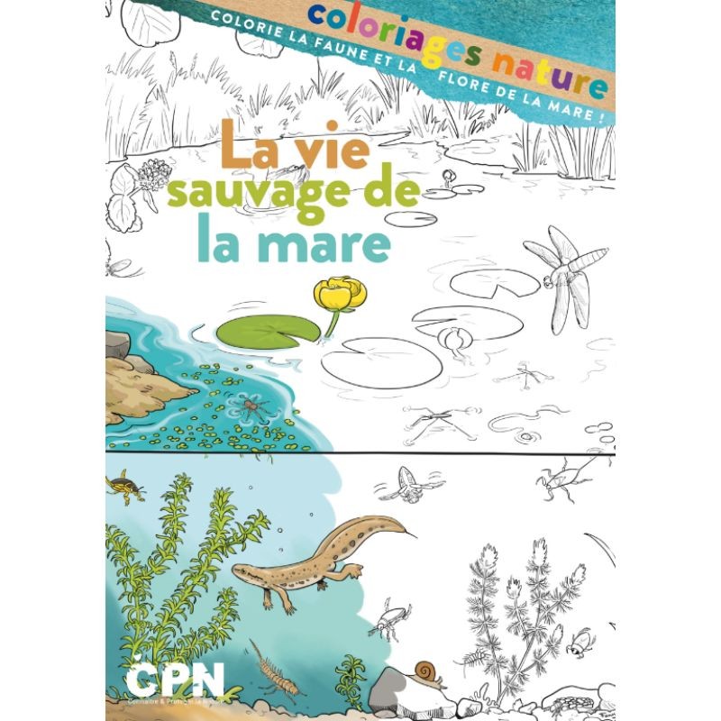 La vie sauvage de la mare - Coloriages nature - CPN