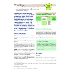 Guide des plantes sauvages en montagne - Découverte, identification, cueillette et usages