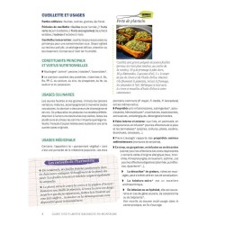 Guide des plantes sauvages en montagne - Découverte, identification, cueillette et usages