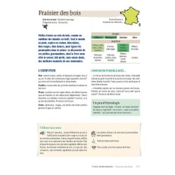 Guide des plantes sauvages en montagne - Découverte, identification, cueillette et usages