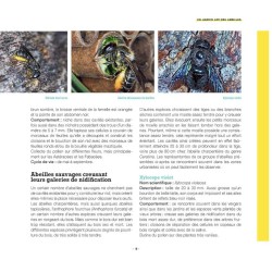 Construire son hôtel à insectes