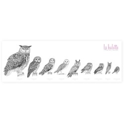 Poster "Photo de Famille" - La Hulotte