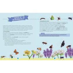 Les insectes - Mon petit cahier de jeux nature