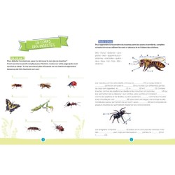 Les insectes - Mon petit cahier de jeux nature