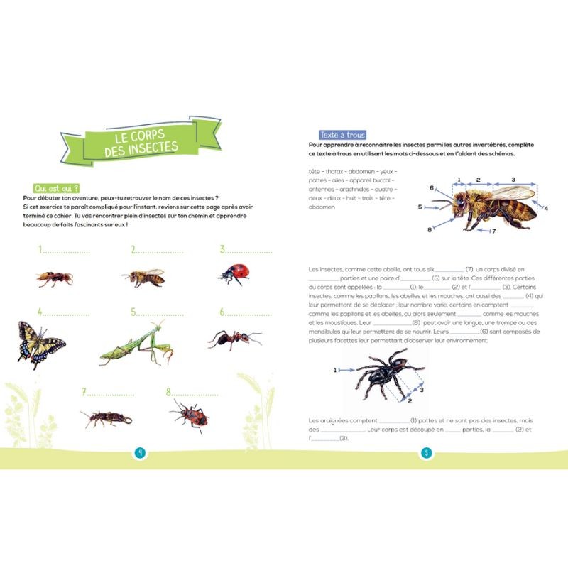 Les insectes - Mon petit cahier de jeux nature
