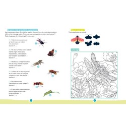 Les insectes - Mon petit cahier de jeux nature