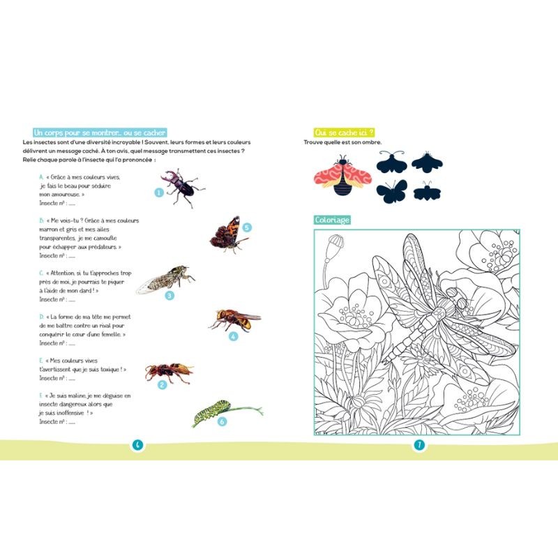 Les insectes - Mon petit cahier de jeux nature