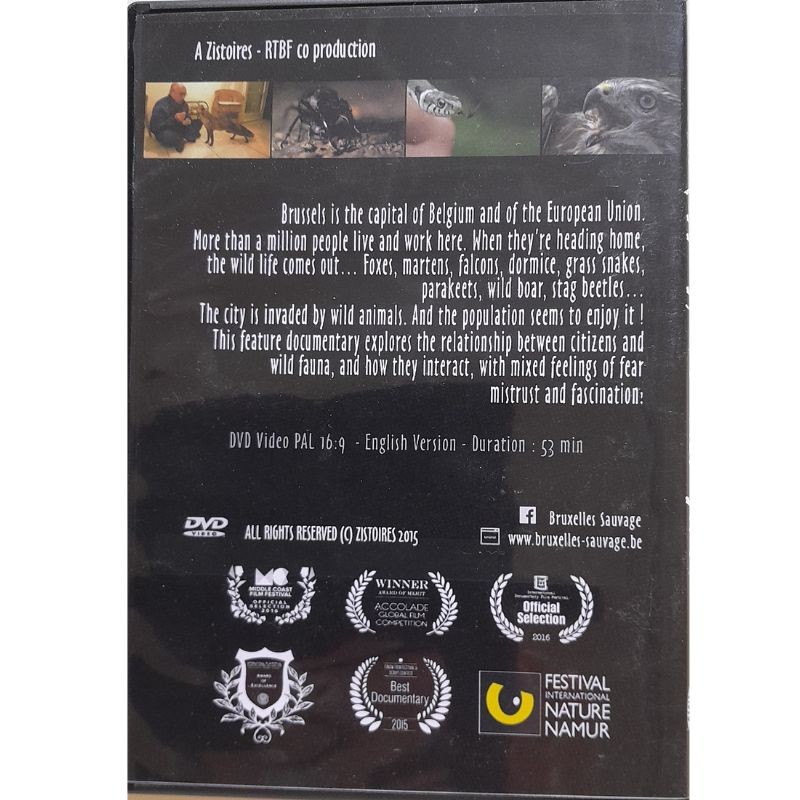 Brussels The Wild side - DVD (version anglaise)