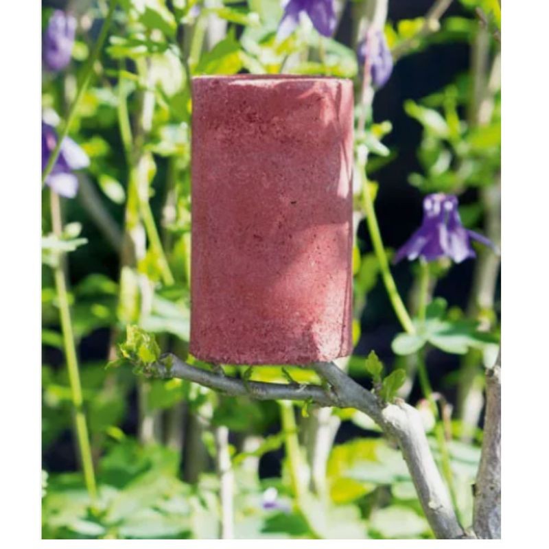 Gîte pour forficules - Béton de bois - Schwegler (380/5)