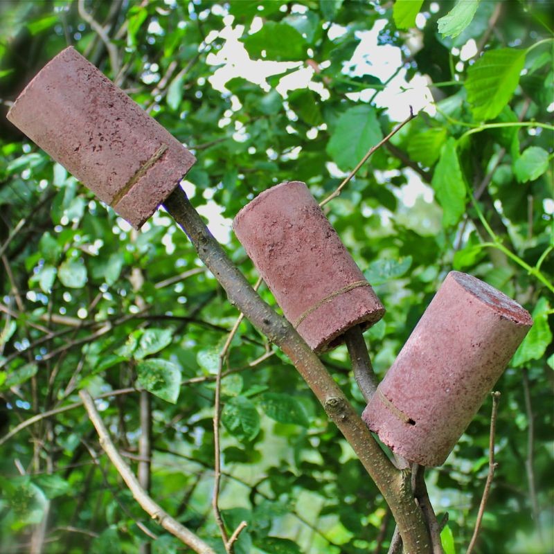 Gîte pour forficules - Béton de bois - Schwegler (380/5)