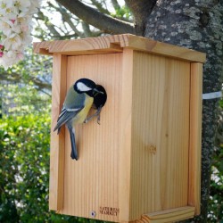 Kit de construction LRBPO - Nichoir 32mm - Pin Douglas