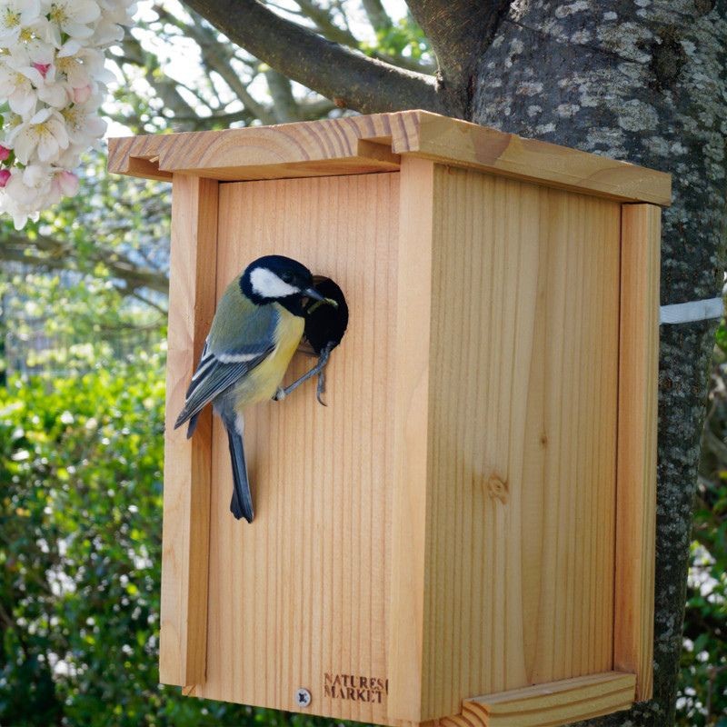 Kit de construction LRBPO - Nichoir 32mm - Pin Douglas