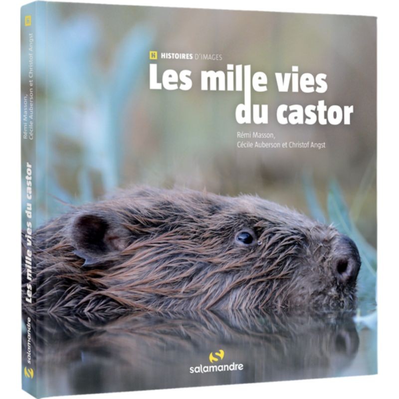 Les mille vies du Castor