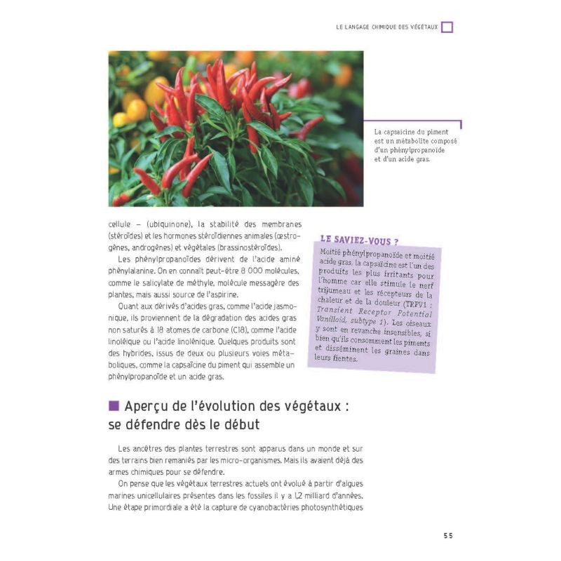 Les parfums de la nature