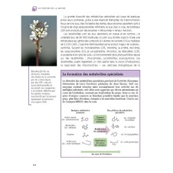 Les parfums de la nature