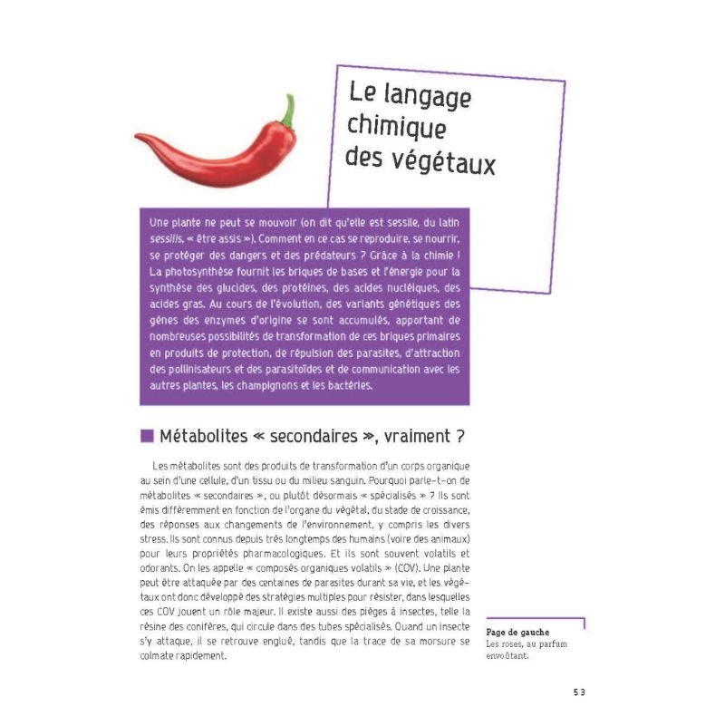 Les parfums de la nature