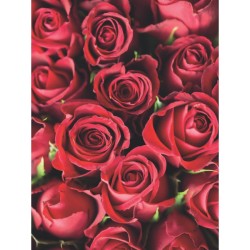 Les parfums de la nature