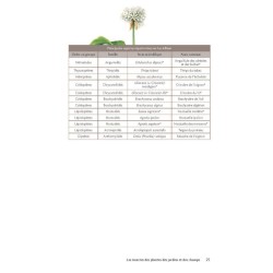 Des plantes et leurs insectes