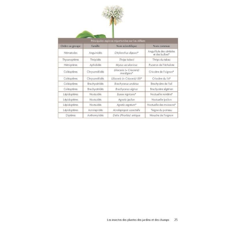 Des plantes et leurs insectes