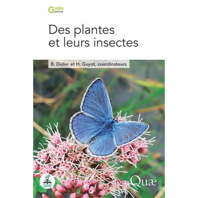 Des plantes et leurs insectes