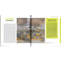 Je crée ma mare naturelle - Concevoir, aménager, entretenir Je crée ma mare naturelle - Concevoir, aménager, entretenir