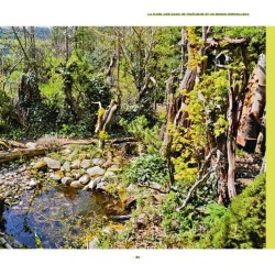 Je crée ma mare naturelle - Concevoir, aménager, entretenir Je crée ma mare naturelle - Concevoir, aménager, entretenir