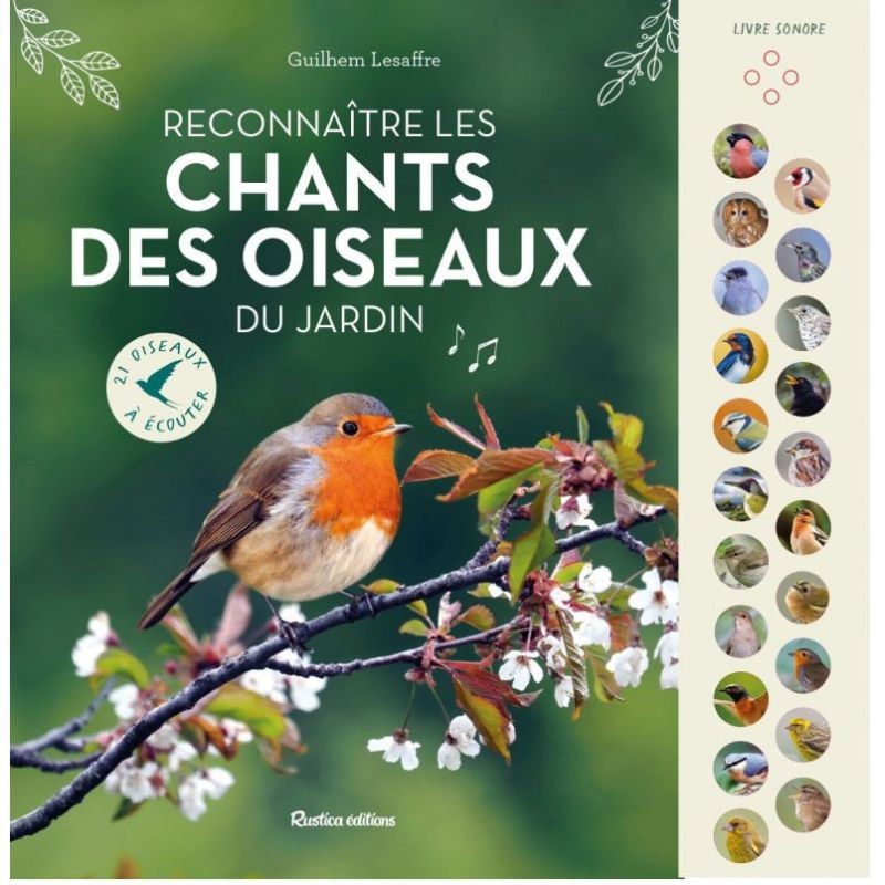 Reconnaître les chants des oiseaux du jardin - 21 oiseaux à écouter