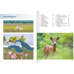 Natuurgids Brouwersdam Natuurgids Brouwersdam