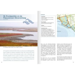 Natuurgids Brouwersdam Natuurgids Brouwersdam