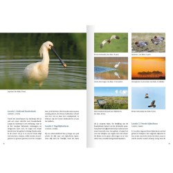 Natuurgids Brouwersdam Natuurgids Brouwersdam