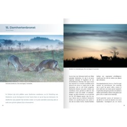 Natuurgids Brouwersdam Natuurgids Brouwersdam