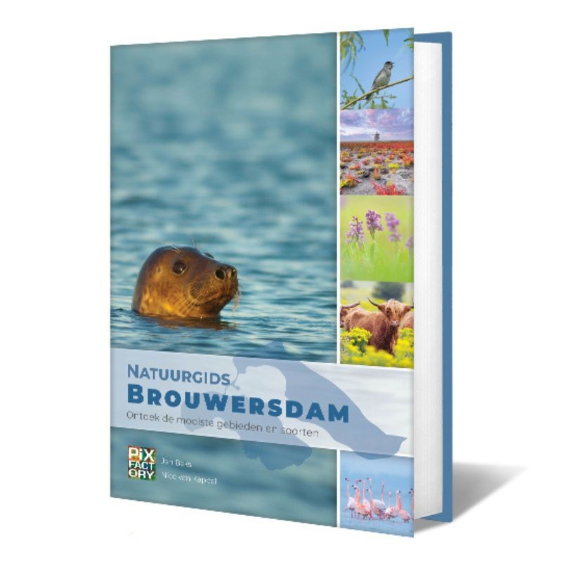 Natuurgids Brouwersdam