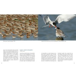 Natuurgids Vogels kijken in de Delta