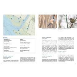 Natuurgids Vogels kijken in de Delta