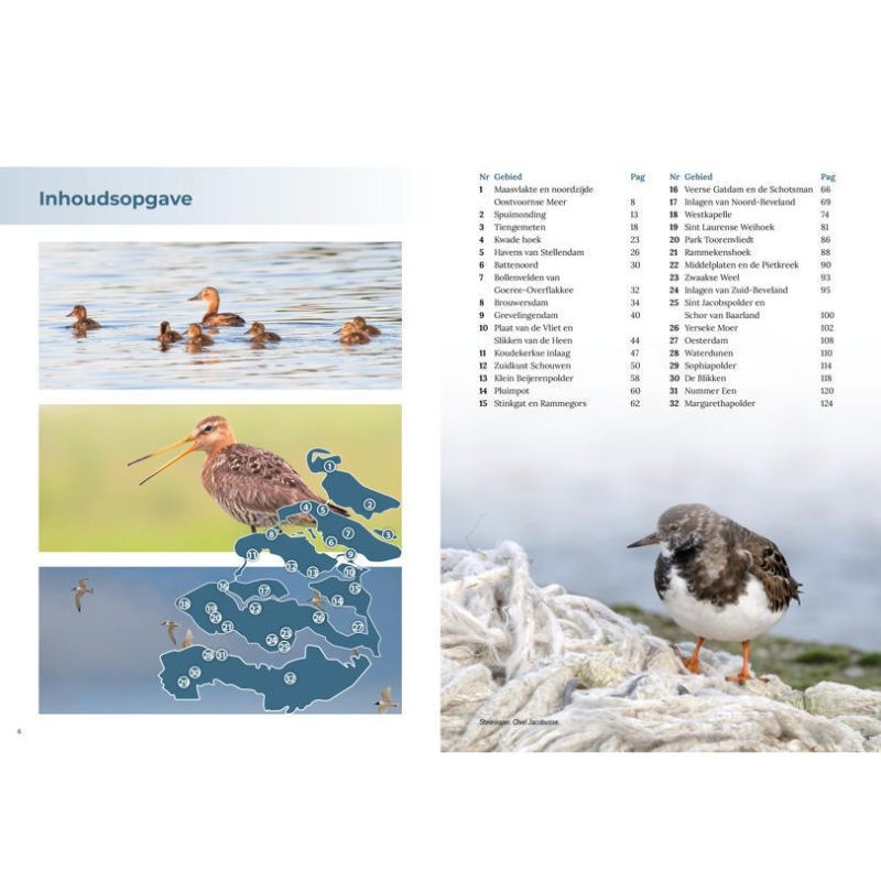 Natuurgids Vogels kijken in de Delta