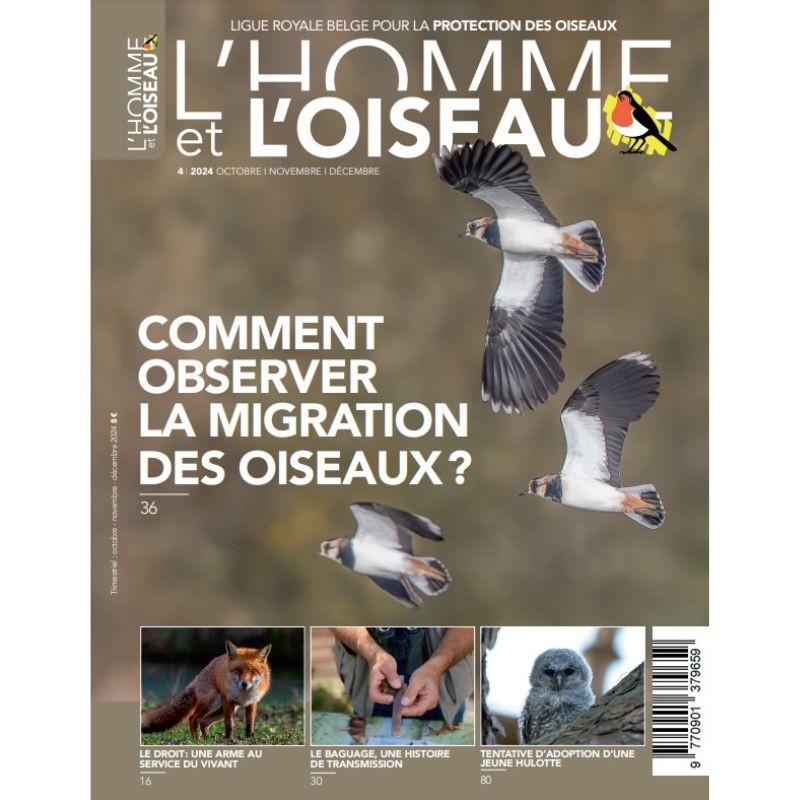 Revue L'Homme et l'Oiseau - Comment observer la migration des oiseaux ?