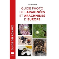 Guide photo des araignées et arachnides d'Europe