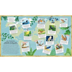 La vie secrète des oiseaux