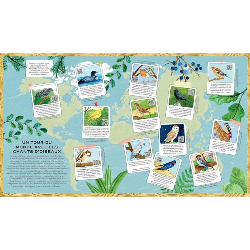 La vie secrète des oiseaux