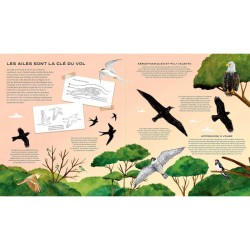 La vie secrète des oiseaux