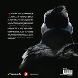 Extraordinaires oiseaux