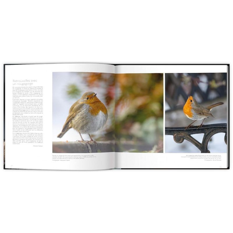 Extraordinaires oiseaux