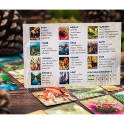 Ecosystème – Forêt