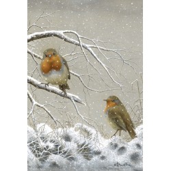 5 cartes de correspondance - Série 12 (Buzin) 5 cartes de correspondance - Série 12 (Buzin)